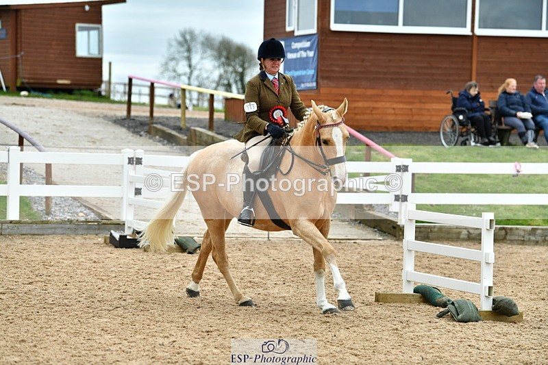 230416A-140122-04992 - Cls 60 Ridden Show Horse