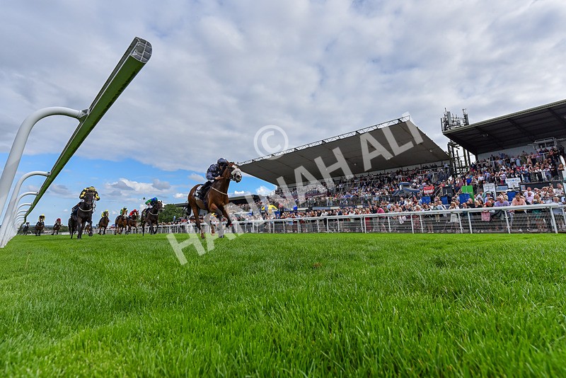 300826-Race 5-Harb-6668 - Race 5 3.55pm Constant Security Handicap