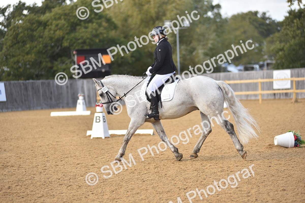 SBM_24328 - D4 - Small Tour Championship Intro 4