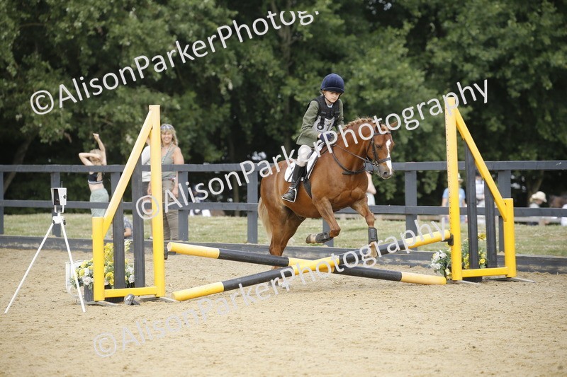 20250622-3751 - 50cm