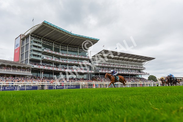240823-Race 2-Dragon Leader-1166 - Race 2 2.25pm Goffs UK Harry Beeby Premier Yearling Stakes