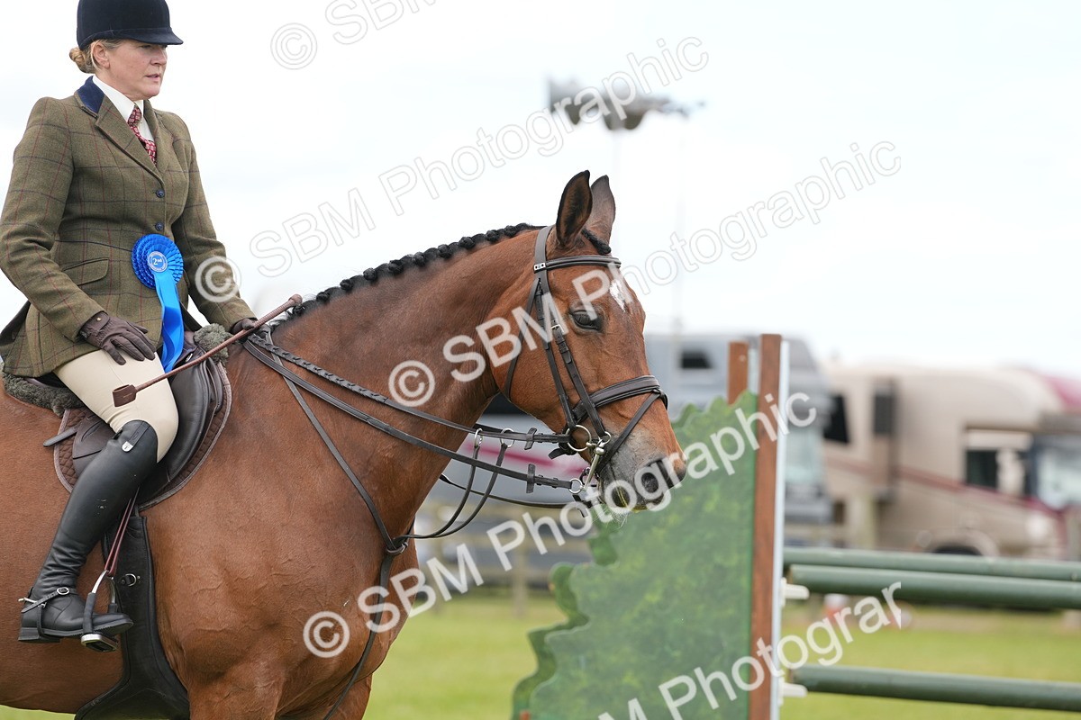 SBM_00019 - Class 100-102 - RIHS Working Hunter