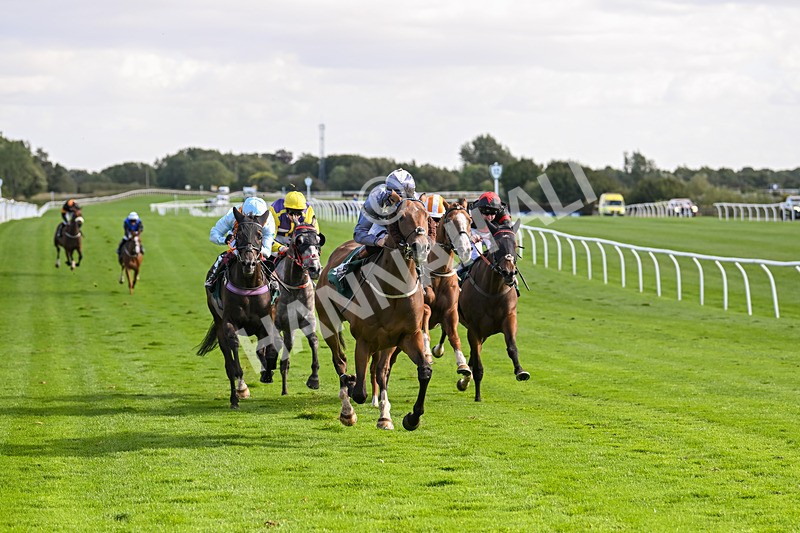 100924-Race 3-Laudable-0174 - Race 3