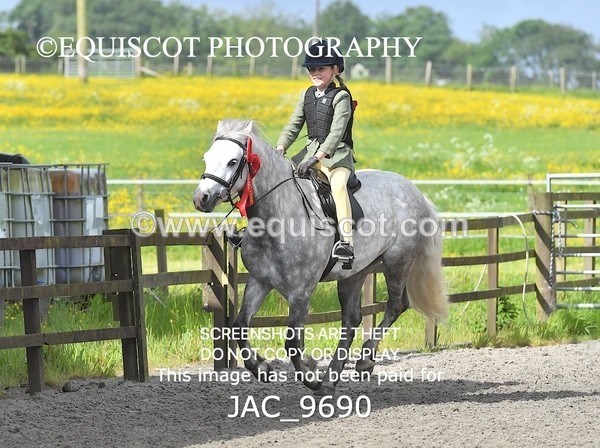 JAC_9690 - CLASS 1 Nursery Novice Working Hunter (0.50m)