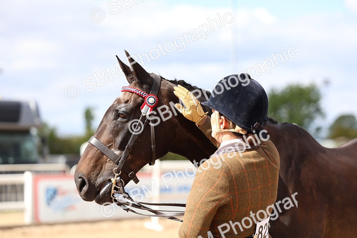 SBM_15286 - Class 313 - IH Retired Racehorse