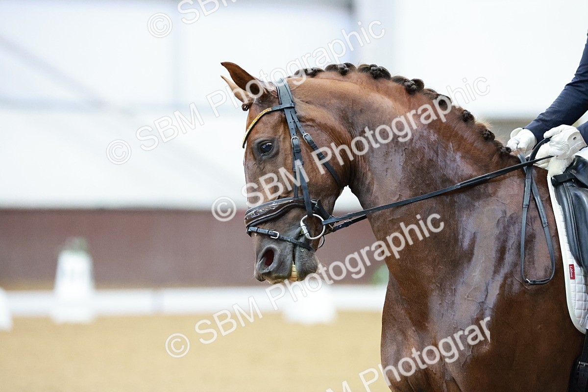 SBM_005615 - Class 3 - Medium 6 - 14.40-15.52