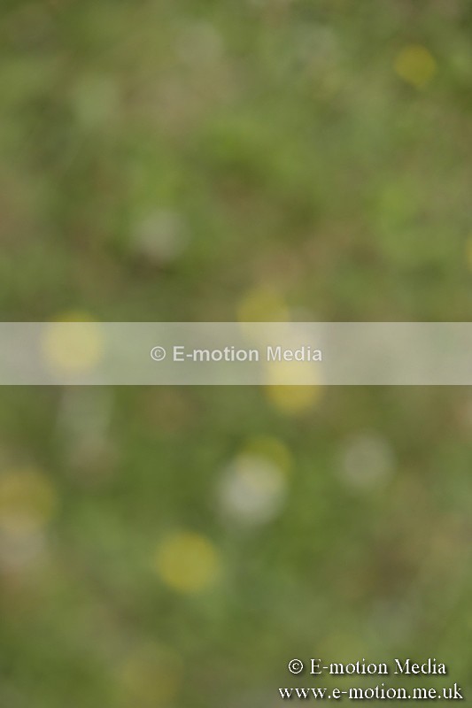 BVR160717-670 - Class 1 & 23a Dressage 16/07/17