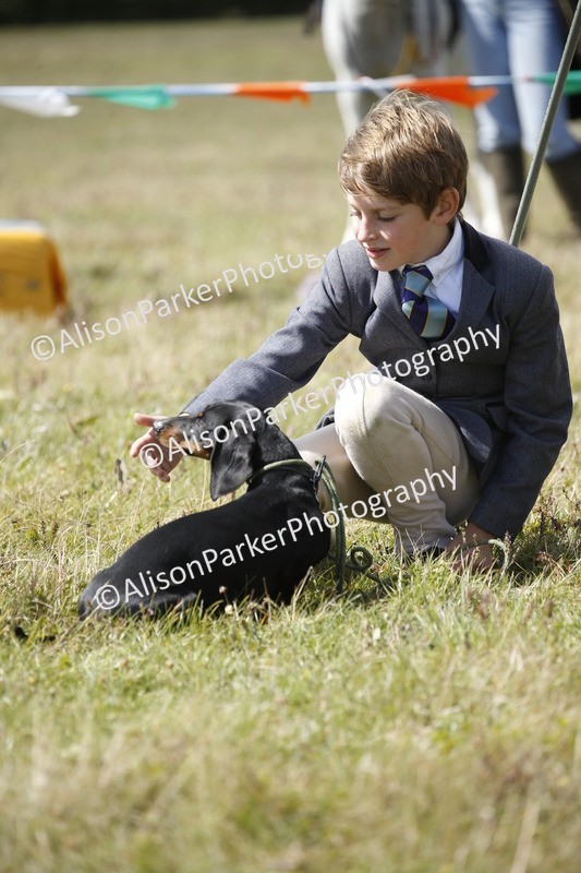 20250831-3779 - Dog Show