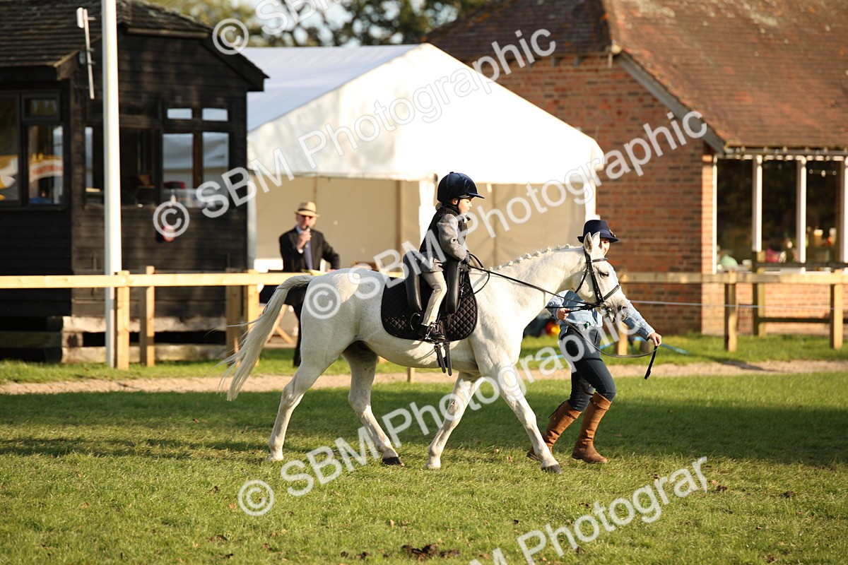 SBM_54396 - S27 - Mature Veteran - Ridden