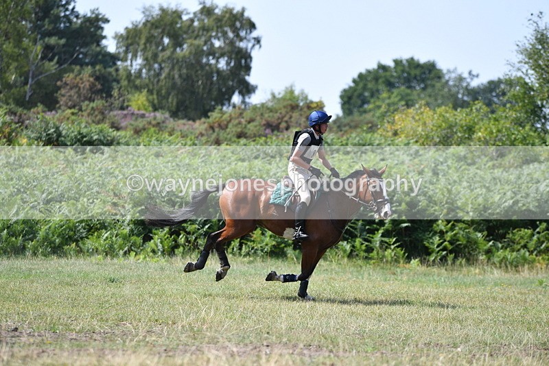 WJ5_2891 - XC Time 12:35 to 12:59