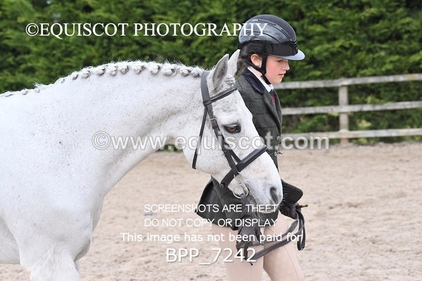 BPP_7242 - RING 1  (RIDDEN HORSES / IN HAND / VETERAN ETC)