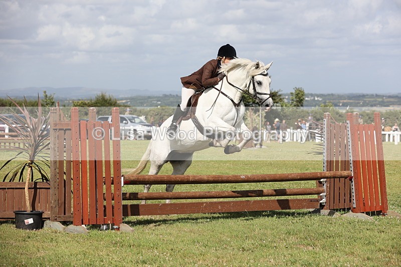 JPP_2562 - Class 20: Working Hunter 70cm