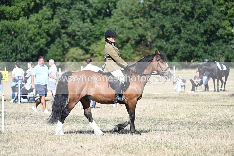 WJ7_3421 - Class 9 Mountain & Moorland Ridden
