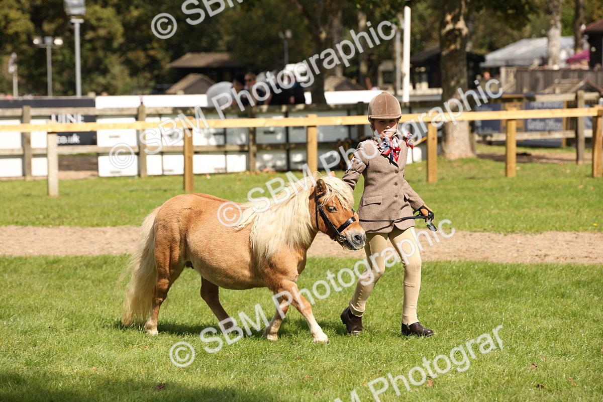SBM_44414 - S24 - Young Veteran in hand