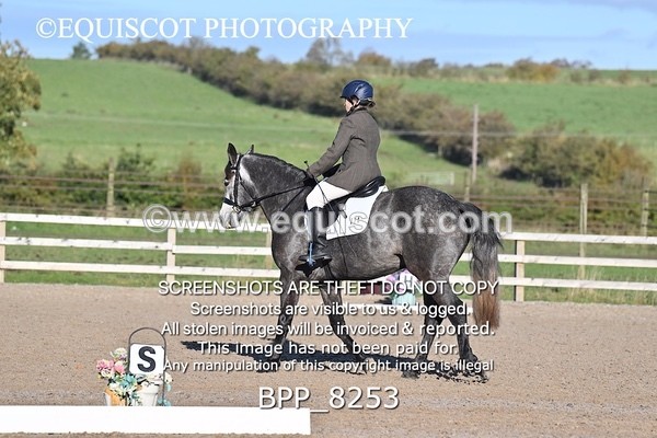 BPP_8253 - SHORT ARENA