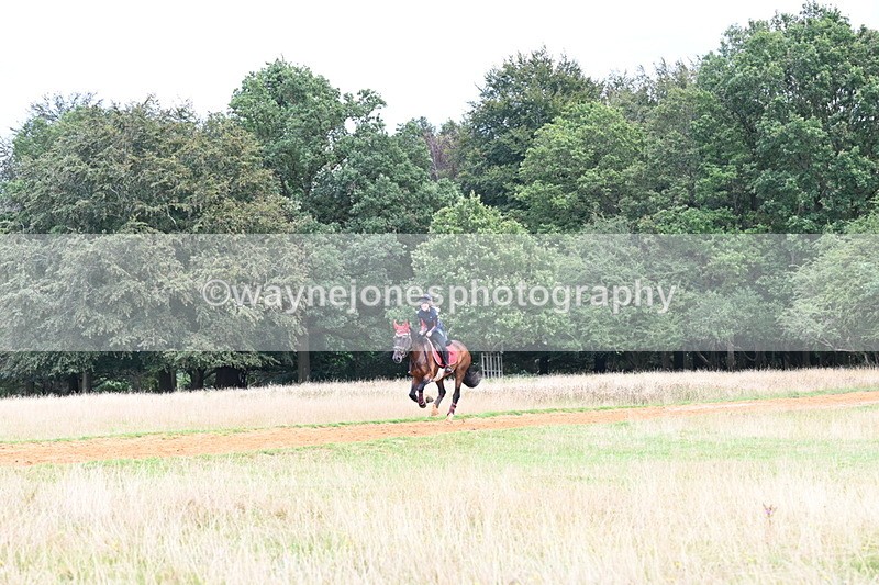 DSC_8899 - Time at Statue 14:33 to 15:10