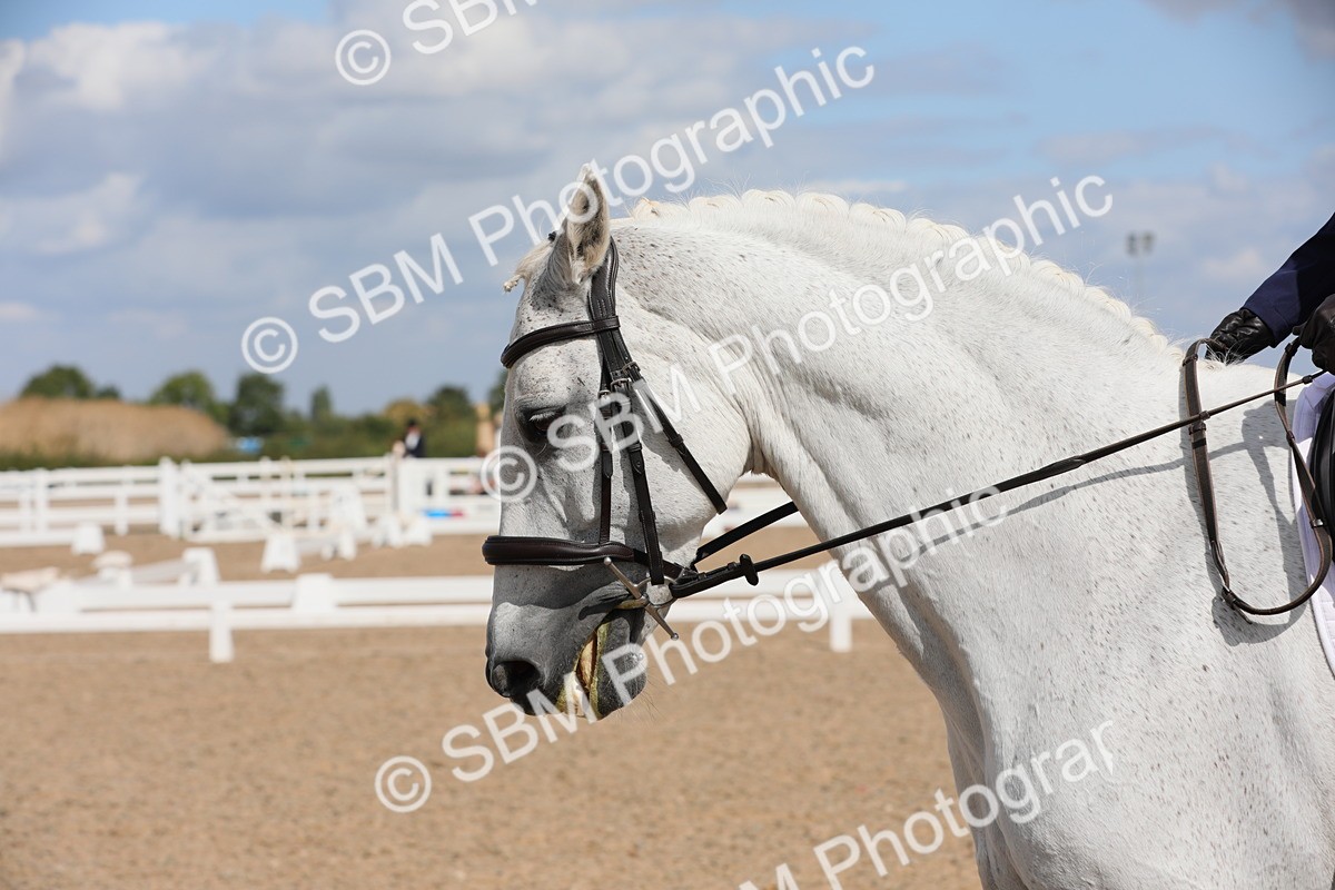 SBM_04099 - Class 31 Prelim 1