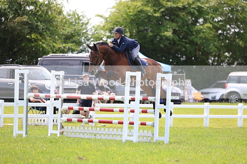 3E7A1386 - Class 12: Senior Foxhunter/1.20 open