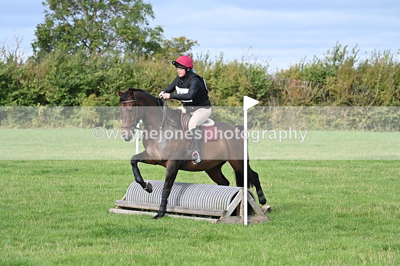 WJ7_8279 - 60cm Pairs