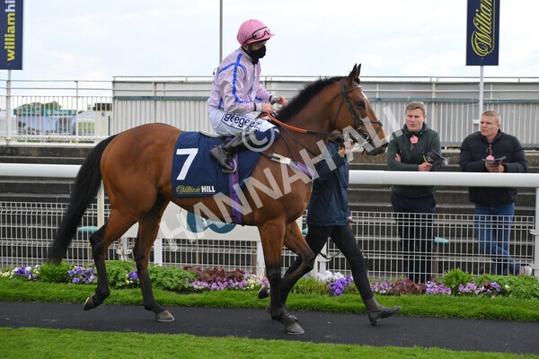 yr22052021r4-22 - Race 4 3.50pm WilliamHill.com Best Odds Guaranteed Stakes