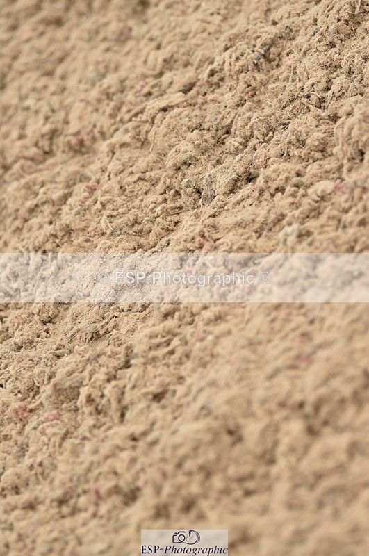 230611A-113202-04806 - Cls 33 95cm Amateur Qualifier