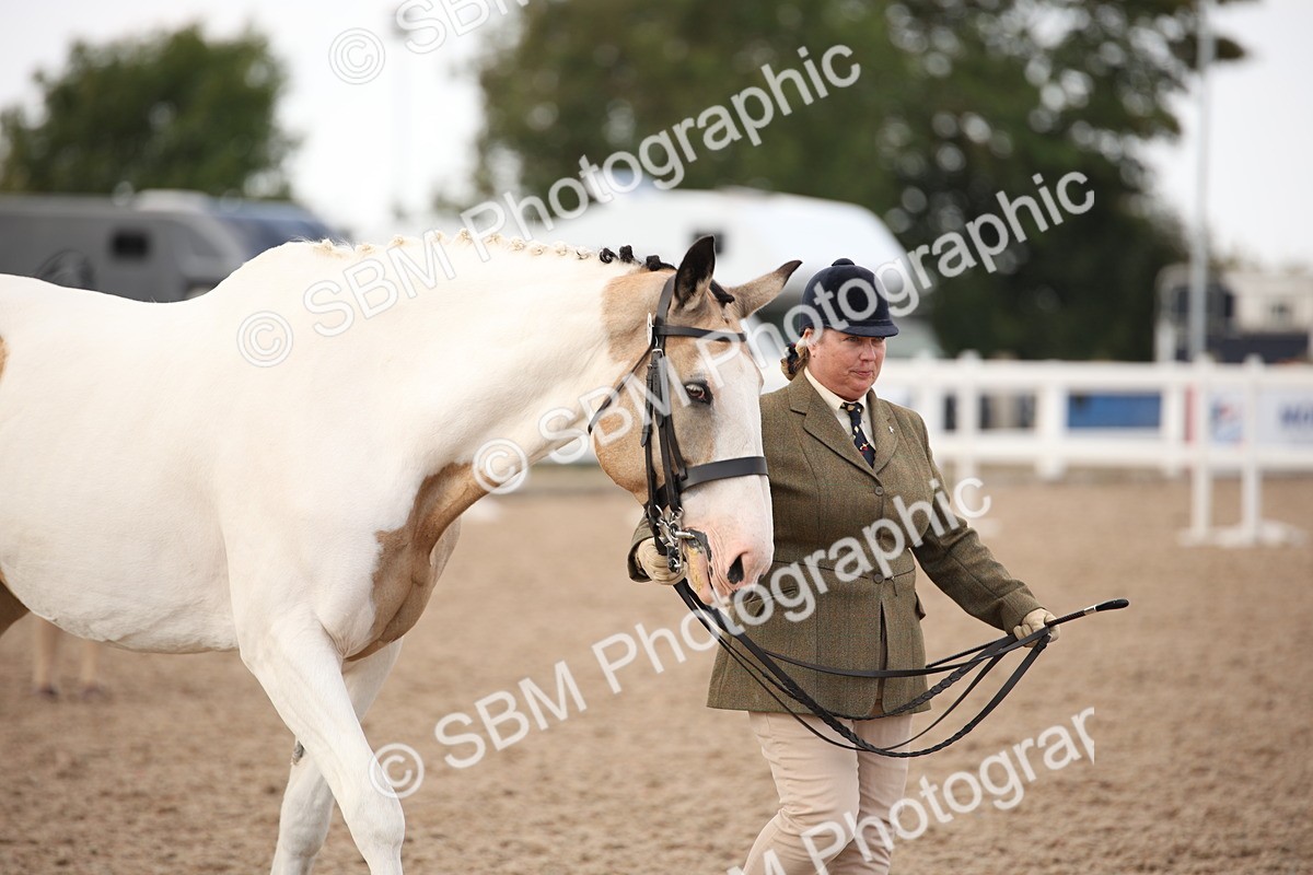 SBM_08219 - Class 27 - IH Competition Horse-Pony