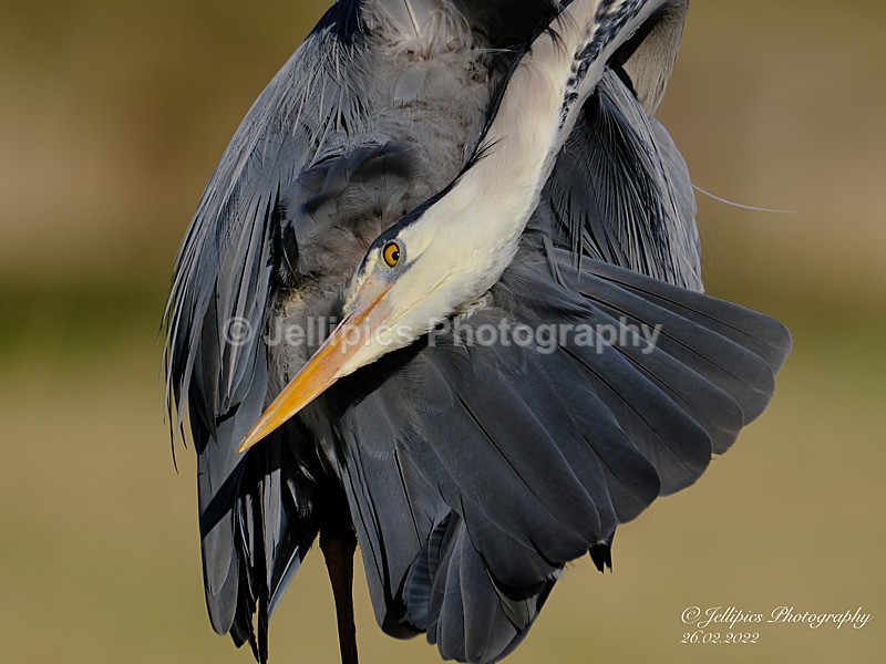 - Wildlife and Nature