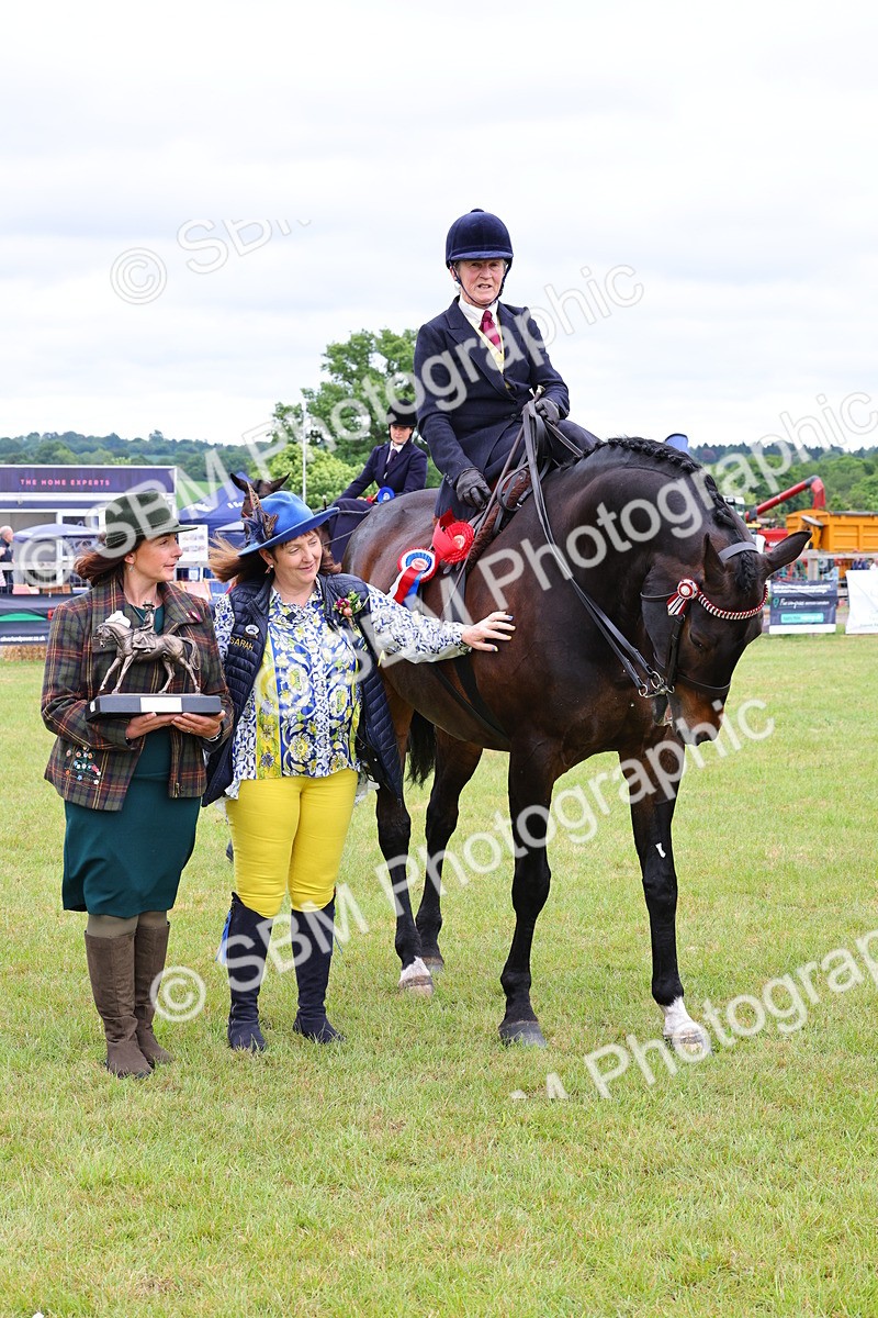 SBM_02885 - Class 9-11 Side Saddle including LIHS Rising Star Ladies Show Horse