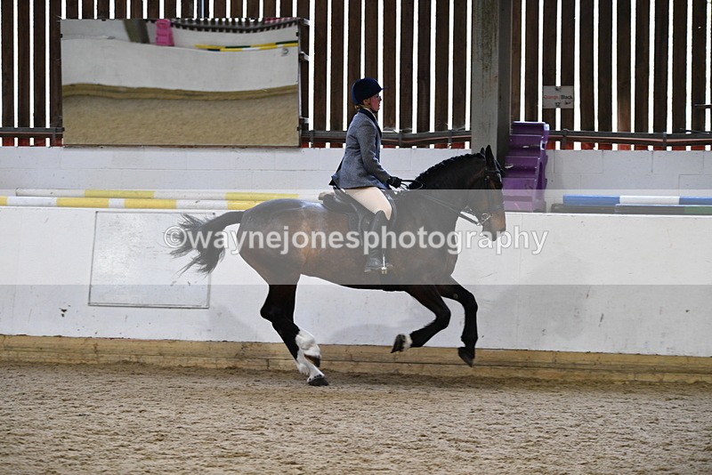 WJ5_7785 - Class 13 Ridden Part Breed