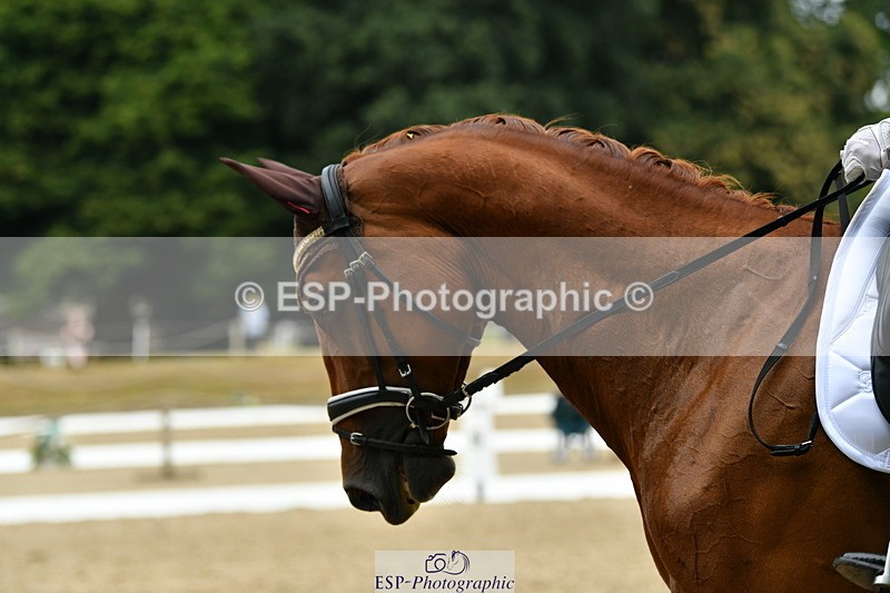 250718A-110136-00363 - 112-Amelia.Antippas-Romanno.Lady.Gaga