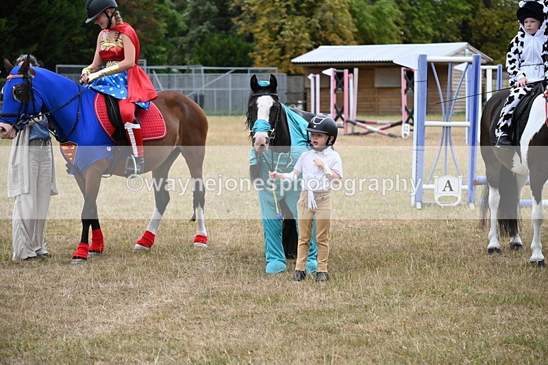 WJ6_9083 - Class 11 Fancy Dress