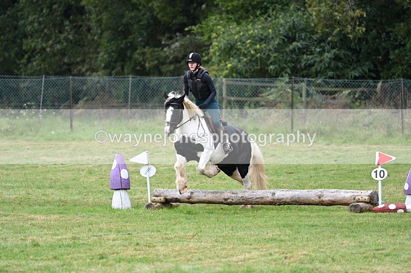 WJ7_7758 - 40cm Time 10:49 to 11:18