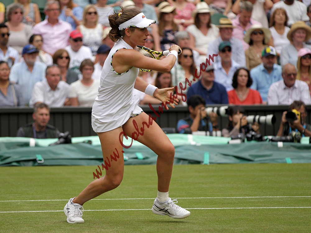 AF0I0102 - Wimbledon