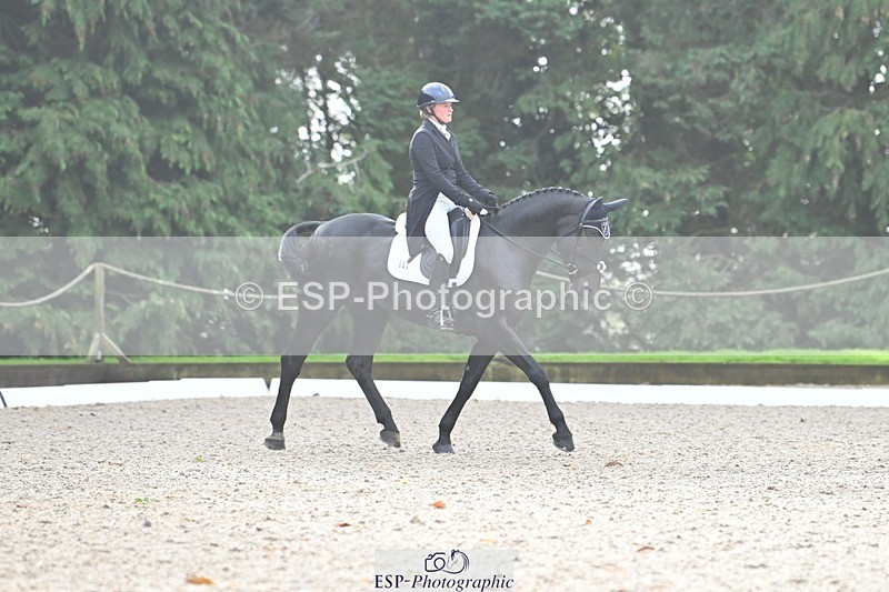 231019-103902-01915 - 102-BAGHEERA-Althea.Bleekman-DR