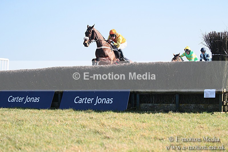 PtP 230219 292 - Vine & Craven Point-To-Point - Barbury 23/02/19