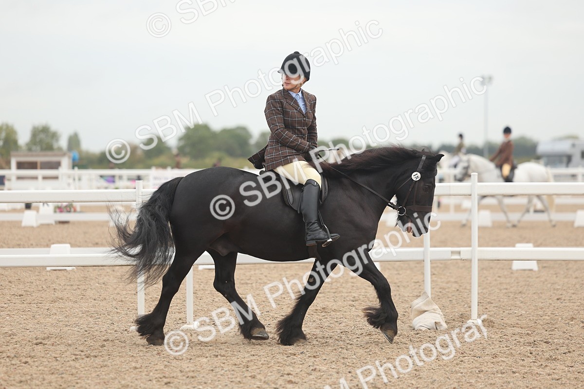 SBM_01874 - Class 14 - Ridden M&M Wildcard