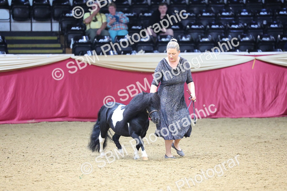 SBM_22837 - Class 903 - Supreme Final - IH Pre Vet