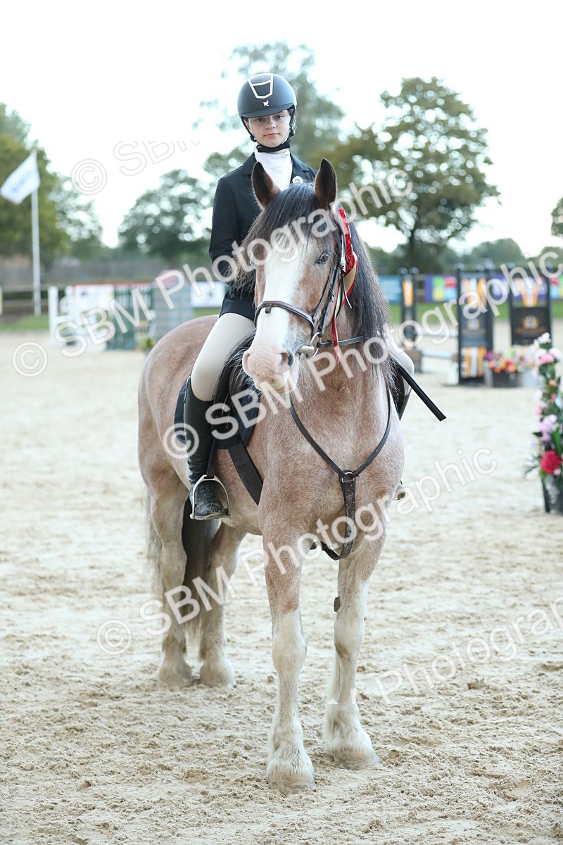 SBM_53778 - Supreme Championship 65cm 70cm