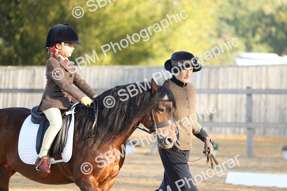 SBM_33683 - D26 - Starers - Lead Rein