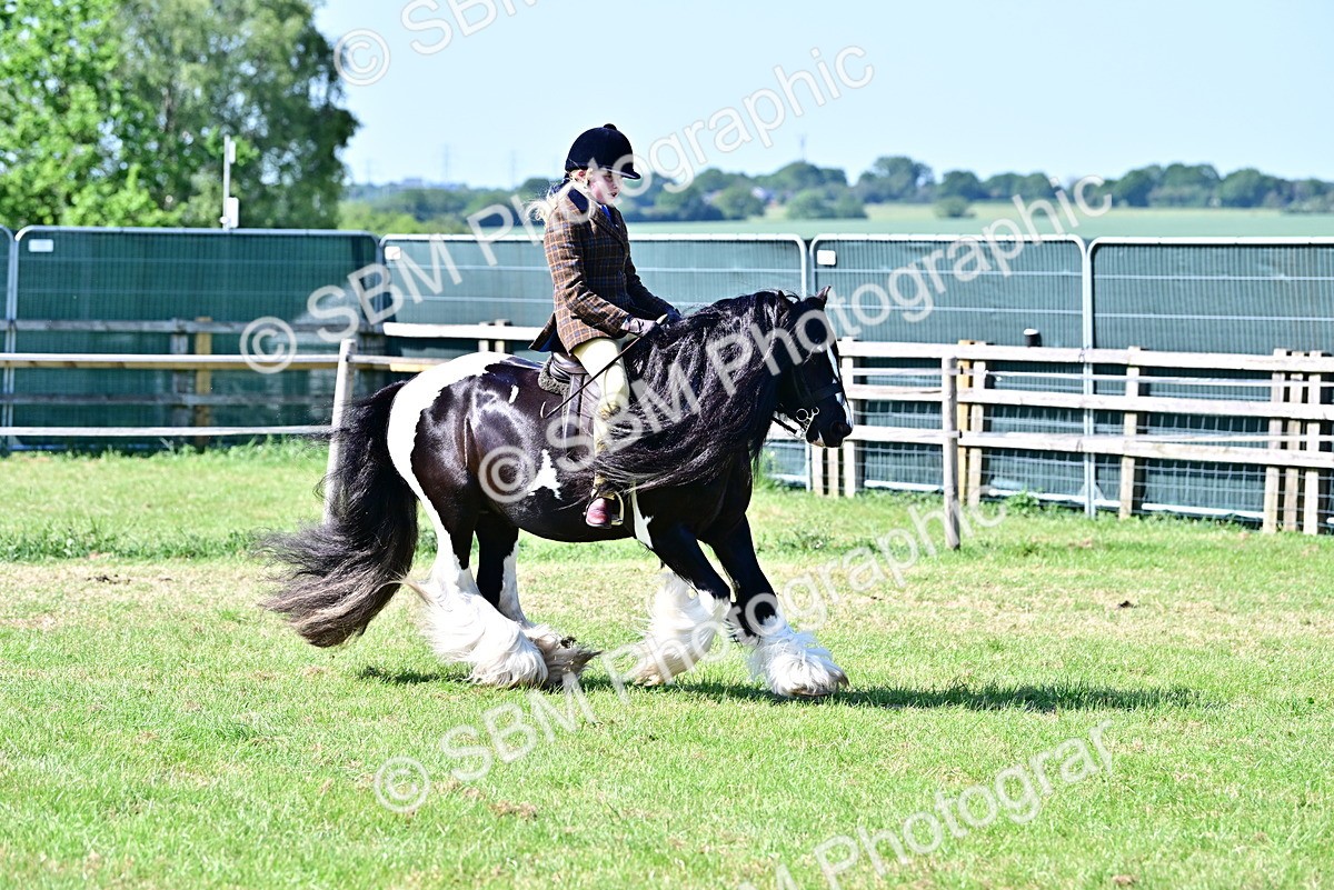 SBM_19413 - Class 101-102 - BSPS LIHS Performance Coloured Horse/Pony