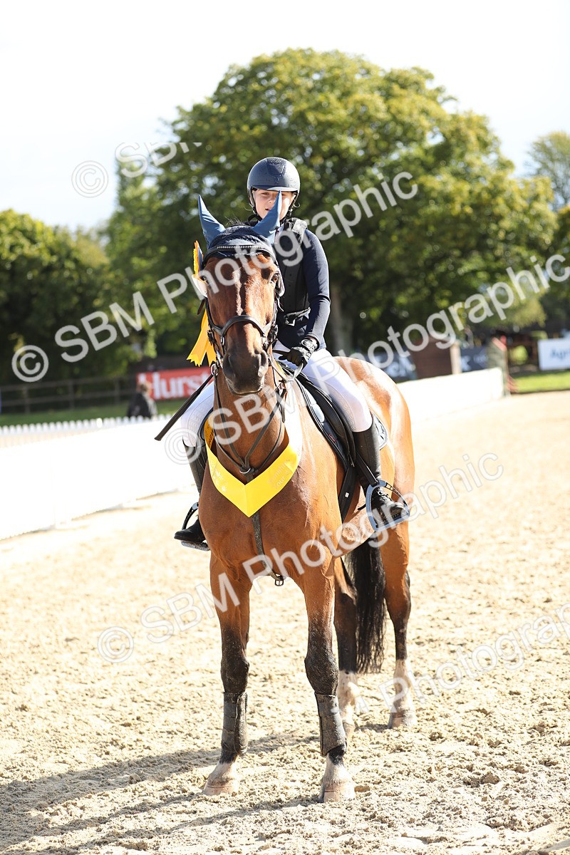 SBM_37355 - J20 - Junior Horse 50cm Championship