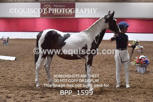 BPP_1599 - MORNING 9AM - 12PM