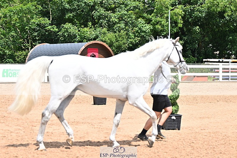 240718A-105306-01570 - Trot Up 1pm to 2pm
