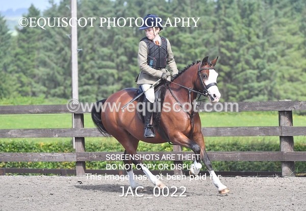 JAC_0022 - CLASS 3 Intermediate Working Hunter (0.70m - 0.85m)