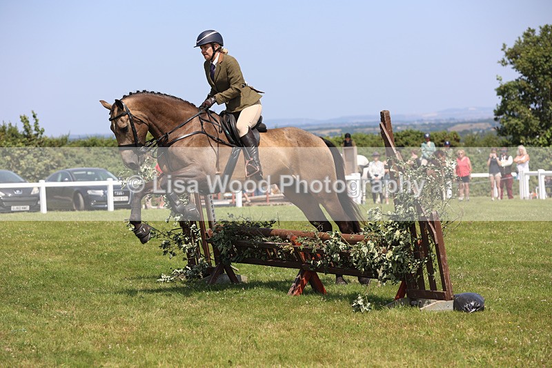 JPP_3132 - Class 22: Working Hunter 70cm