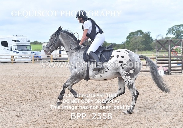 BPP_2558 - DERBY CLASS 8 - 90CM