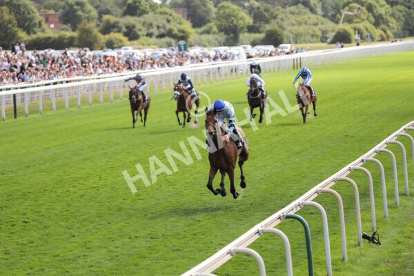 yr19082022r2-35 - Race 2 2.25pm Weatherbys Hamilton Lonsdale Cup (British Champions Series Race)