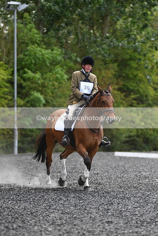 WJ5_0943 - Time 13:04 to 13:42