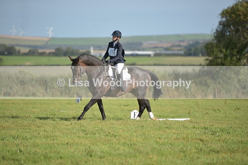 RAY_7500 - Class 2B: Trekenning Open: Dressage