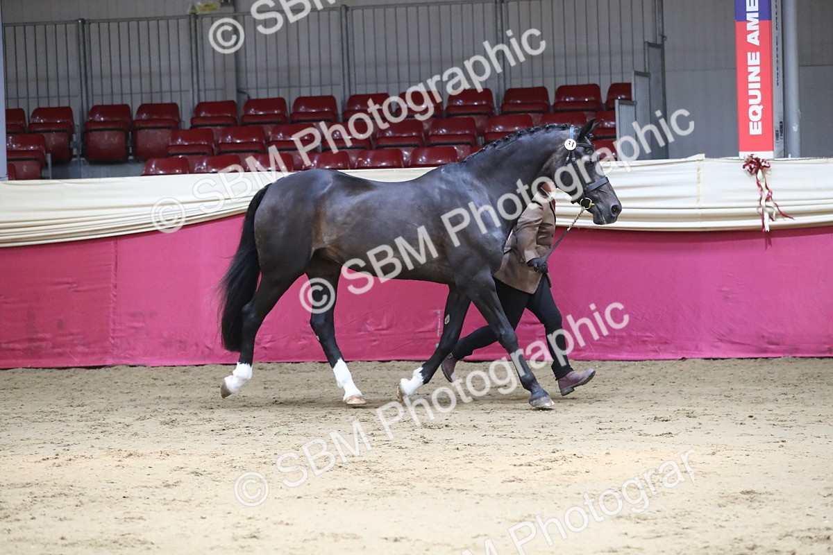 SBM_04394 - Class 7R Regional - IH Diamond